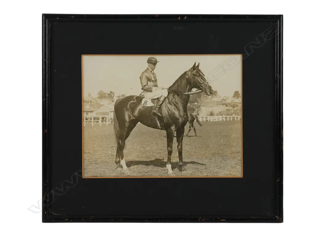 Unidentified photographer 'Race horse and jockey', Image 1++